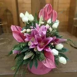 Box Flower