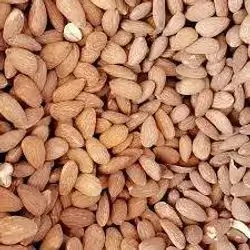 لوز بل ملح 1 ككم