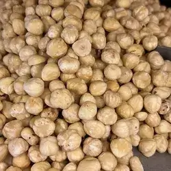 Hazelnut 