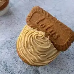 Pluto Cup Cake - Lotus