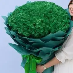 Large Imported Green Rose Bouquet – 171 Flowers