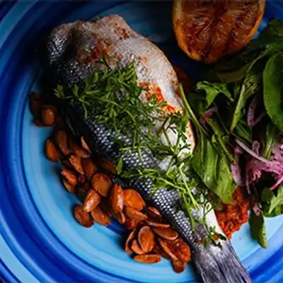 Sea Bream Fish