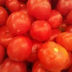Tomato