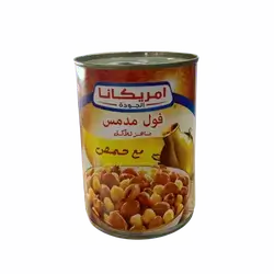 Foul Medames Americana With Hummus 400 gm