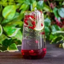 Pomegranate Mohito