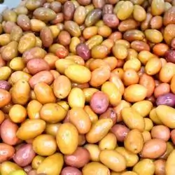 Pistachio Olives