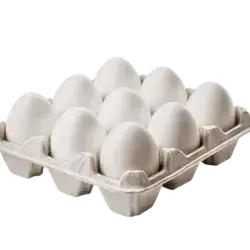 egg 9