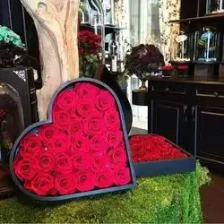 Flower Box