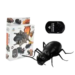 E814 Pet Toy- Beetle
