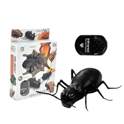 E814 Pet Toy- Beetle