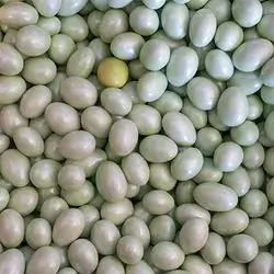 Turkish Badamli