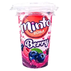 Minto berry juice 240 g