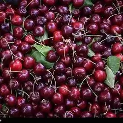 گێلاس ٥٠٠ گم
