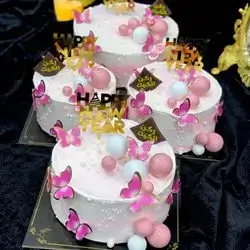 Pink Cream Cake With Chocolate Filling