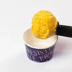 Ice Cream Scoop