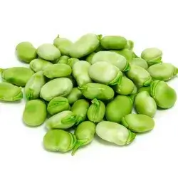 Broad bean