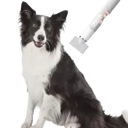 Professional Pet Hair Grooming Dryer