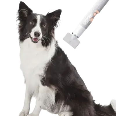 Professional Pet Hair Grooming Dryer