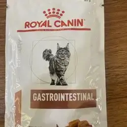 Gastrointestinal s/o