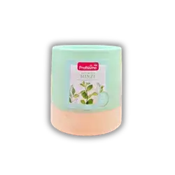 vase candle