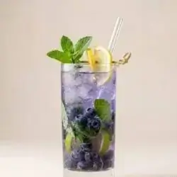 Blueberry Lemon Mint Mojito