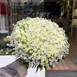 گوڵی بوک و دەرچوون