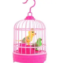 Birds Cage Toy