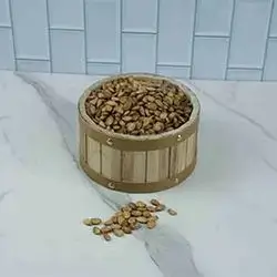 Egyptian Seed