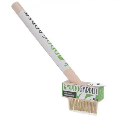 Weed Brush With Handle 37Cm