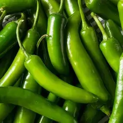 Fine Sharp Pepper