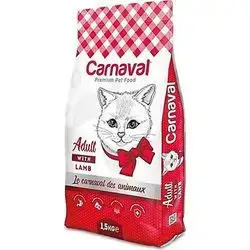 Carnaval Adult