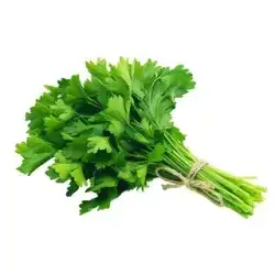 Celery