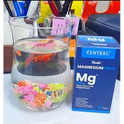 Magnesium Forte 250 Mg