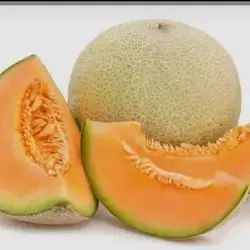 ​Pocket Melon2-3kg
