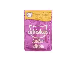 Whiskas Kitten