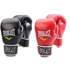 Everlast Boxing Gloves For Kids