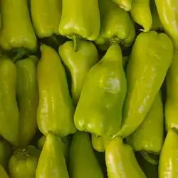 Green Pepper