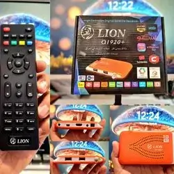 Satellite Lion