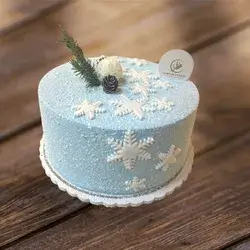 Cake Size 2