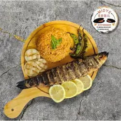 Sea Bass Fish