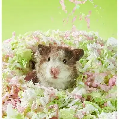 E919 Hamster Paper Cotton