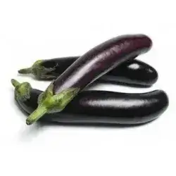 Eggplant Dolma