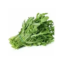 Fresh Rocket Bunch