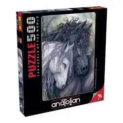 PUZZLE 500