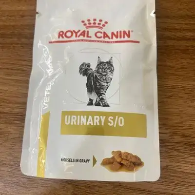 Urinary s/o