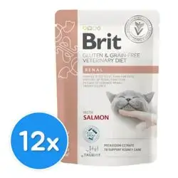 Brit Renal With Salmon x12