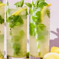 Lemon Mint Mojito