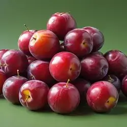 Red Plum