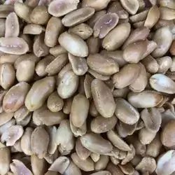 فستق عبيدِ