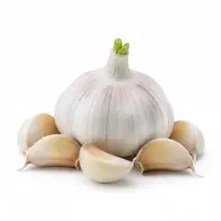 Local Garlic
